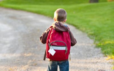 Wer mit dem Bus zur Schule fährt, hat gegenüber den Fußgängern und Radfahrern schon im Vorfeld die schlechteren Karten