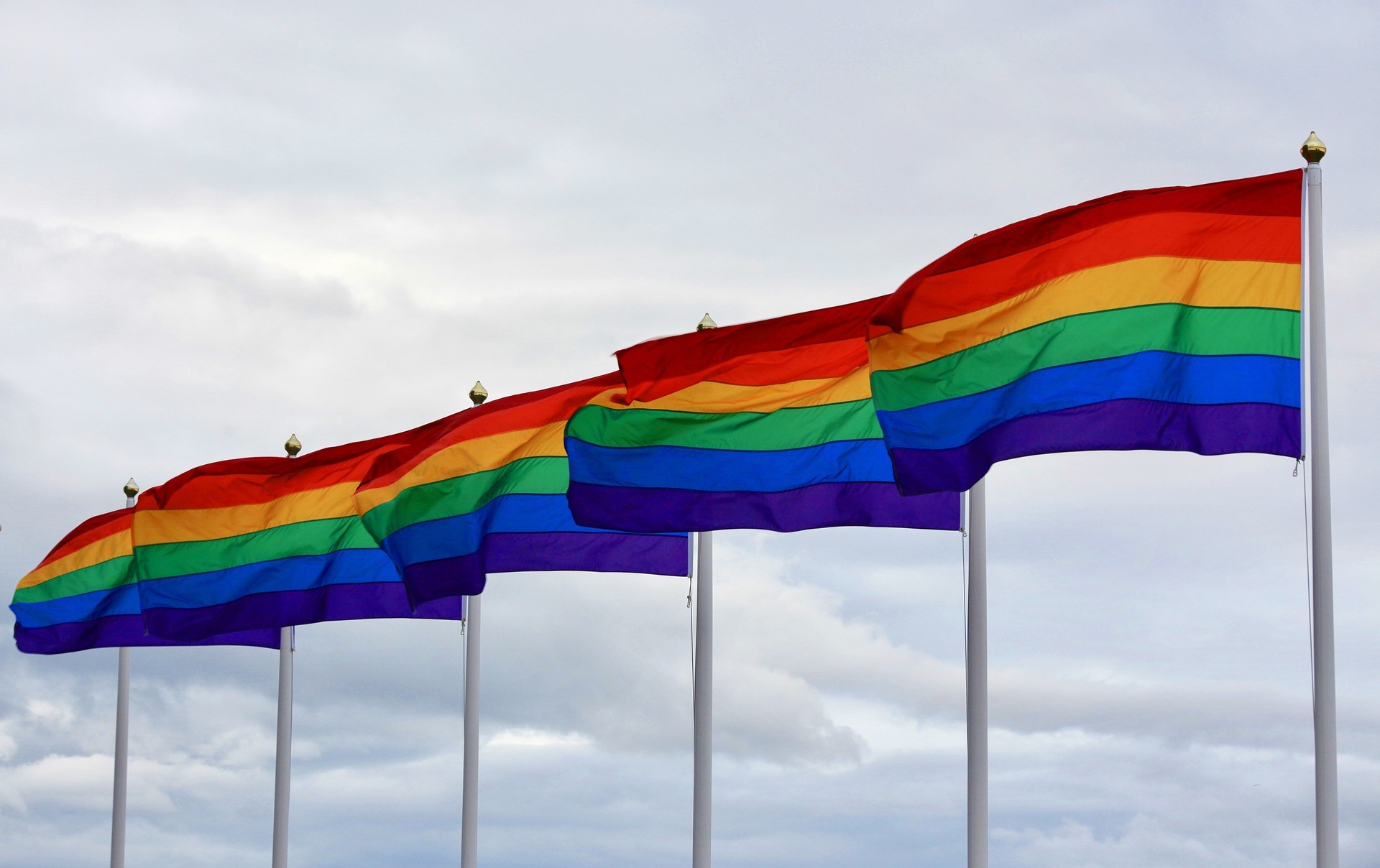 SPD und GRÜNE zeigen Flagge für Toleranz und Vielfalt